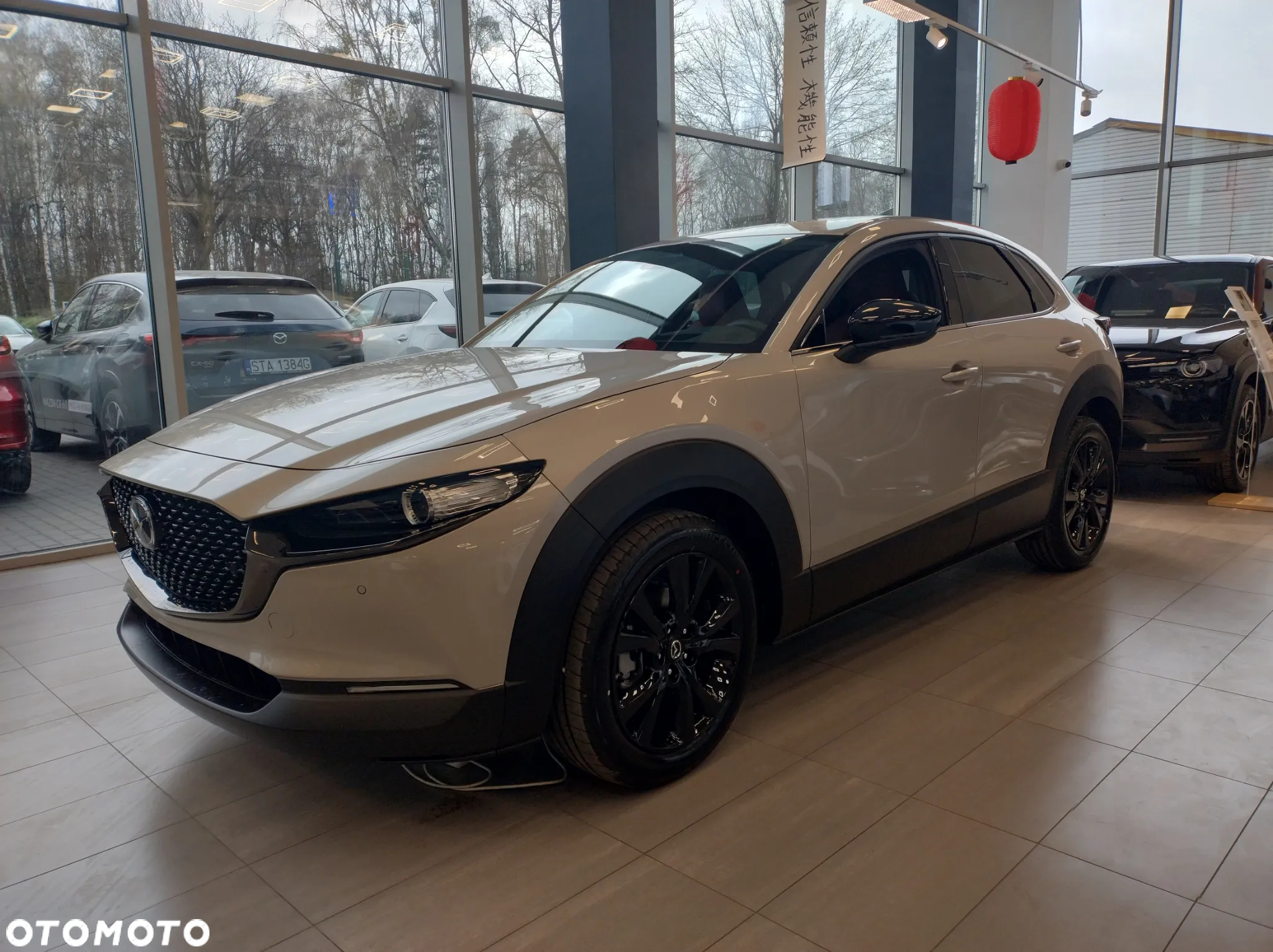 Mazda CX-30 2.0 mHEV Nagisa 2WD - 9