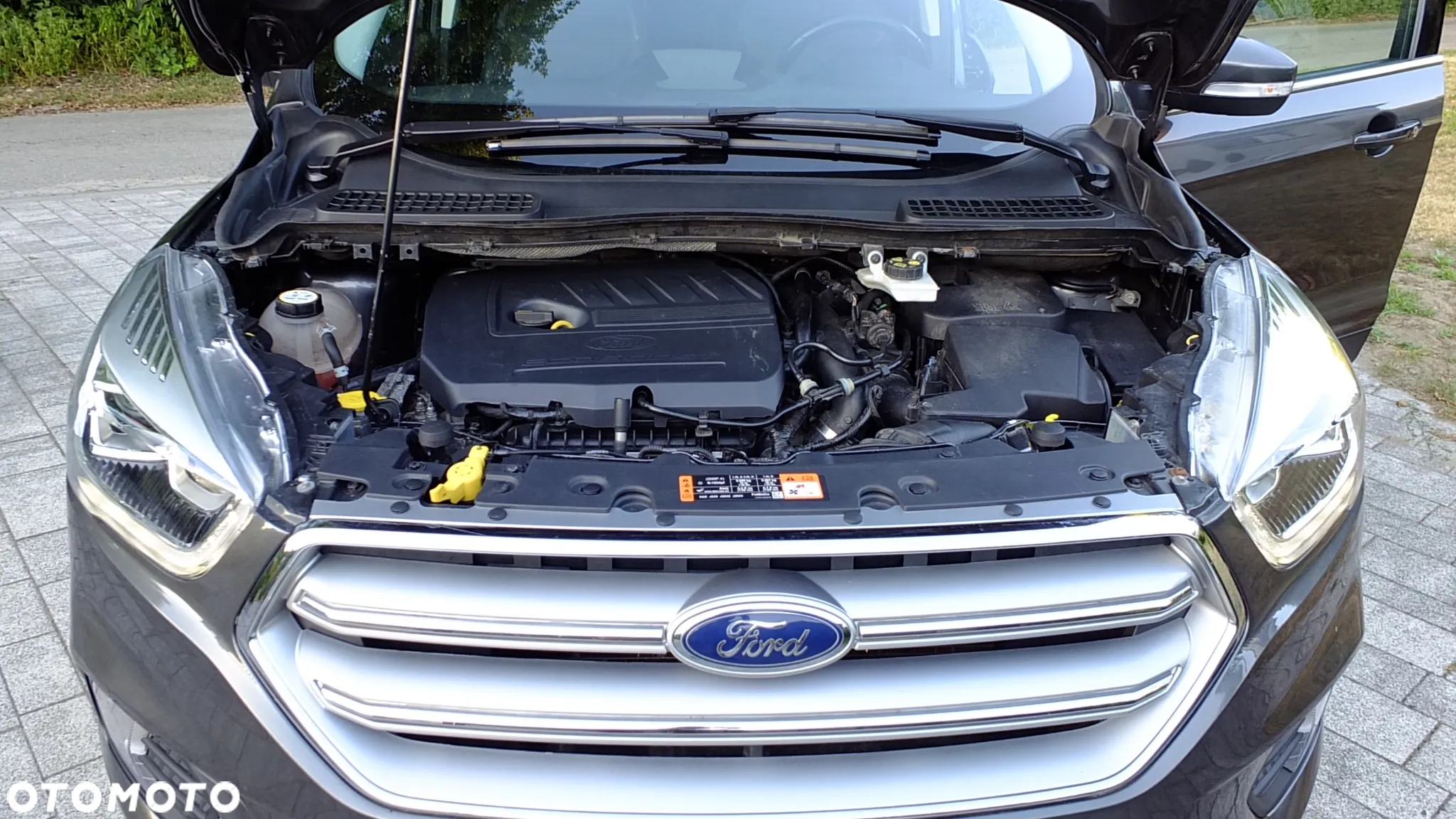 Ford Kuga 1.5 EcoBoost FWD Edition ASS MMT6 - 22