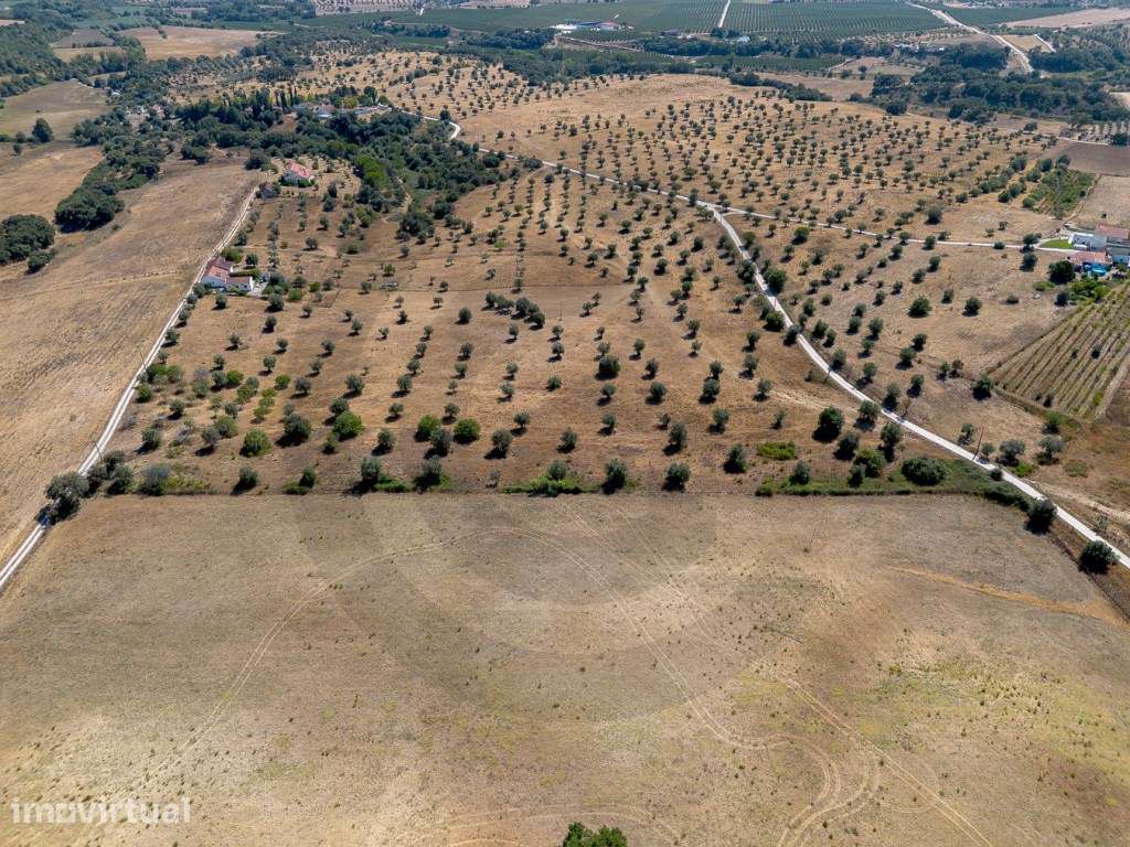 Terreno - Casal bernardino ( terra fria ), Casével, Santarém - Grande imagem: 4/7