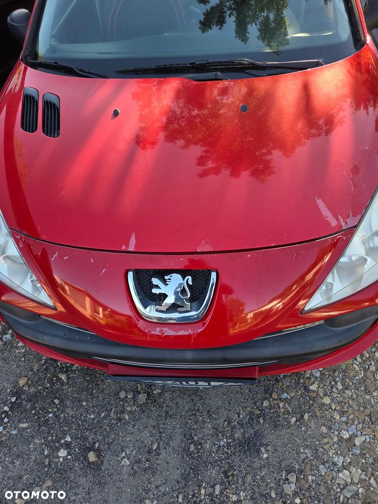 Peugeot 206 - 23