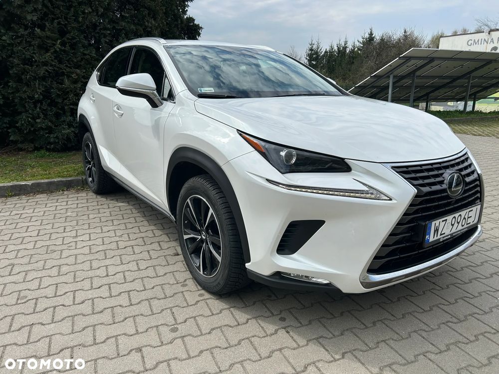 Lexus NX 300 Prestige AWD - 24