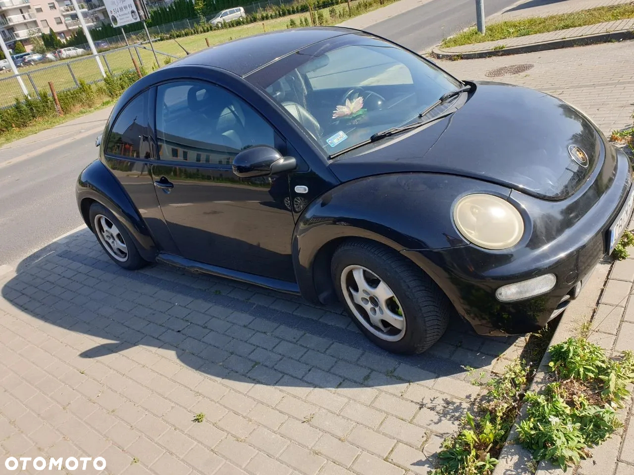 Volkswagen Beetle - 3