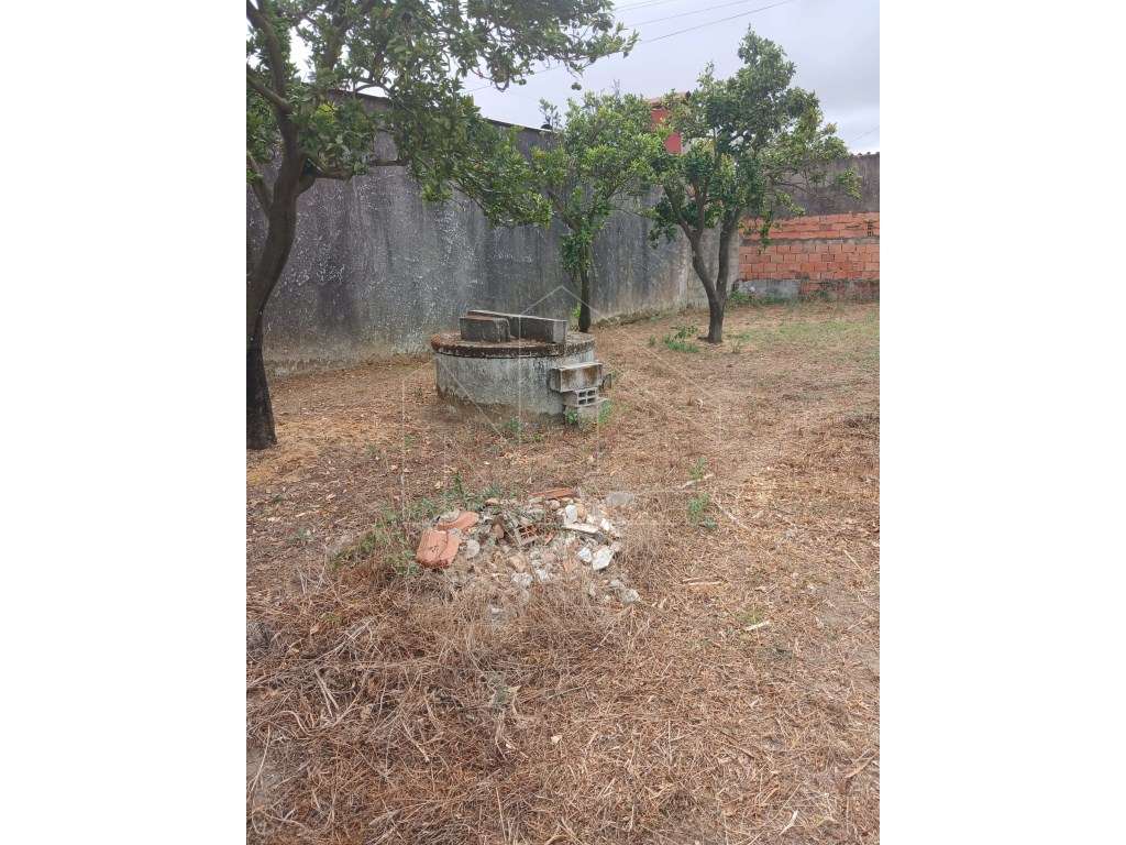 Terreno Oliveira do Bairro - Grande imagem: 3/3