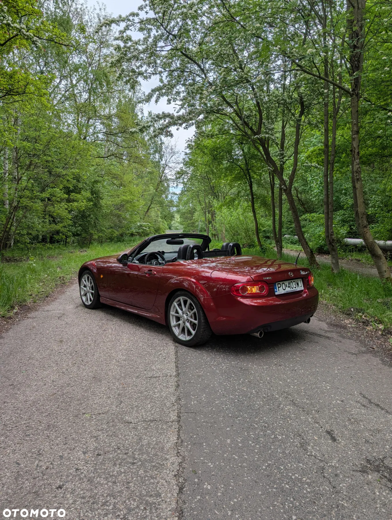 Mazda MX-5 - 24