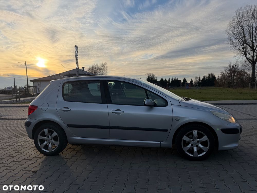 Peugeot 307 1.4 Presence - 5