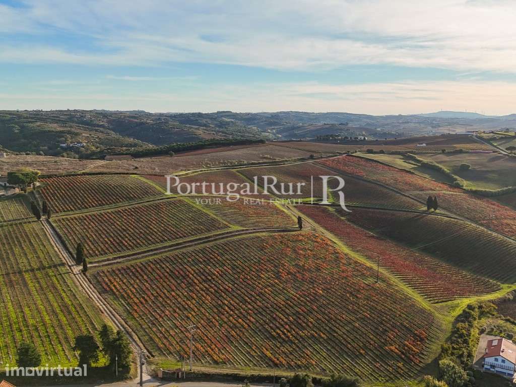 Quinta vitivinicola centenária com 34,5 hectares em Alenquer, Lisboa - Grande imagem: 2/56
