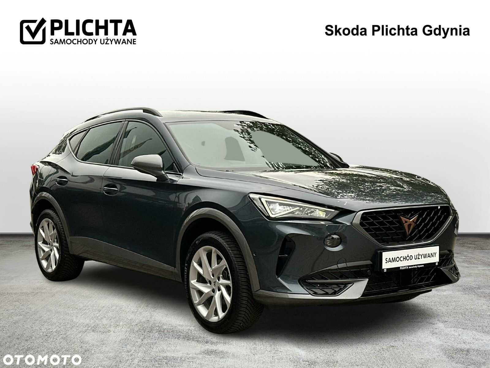 Cupra Formentor 2.0 TSI 4Drive DSG - 7