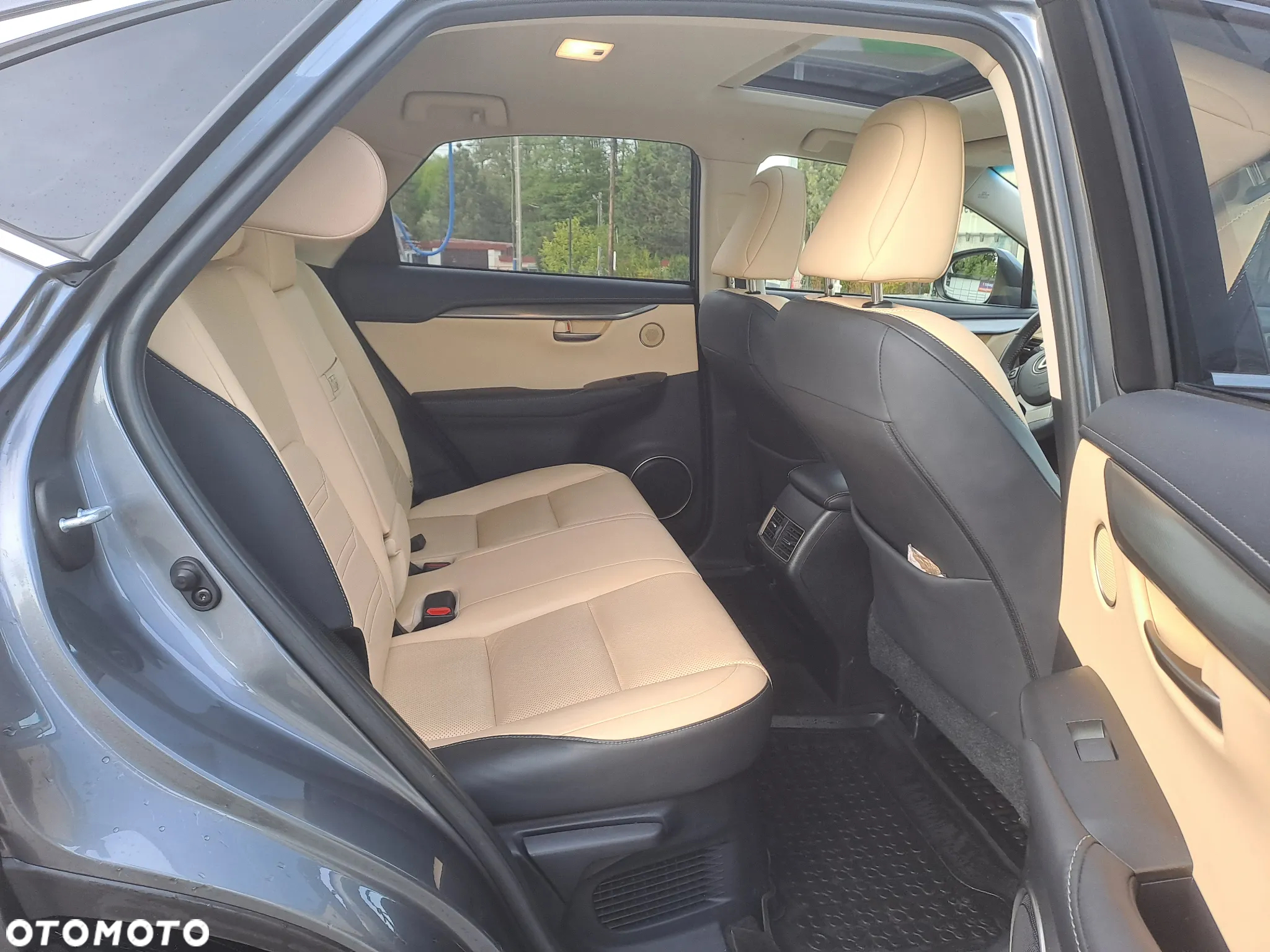 Lexus NX 300h - 10