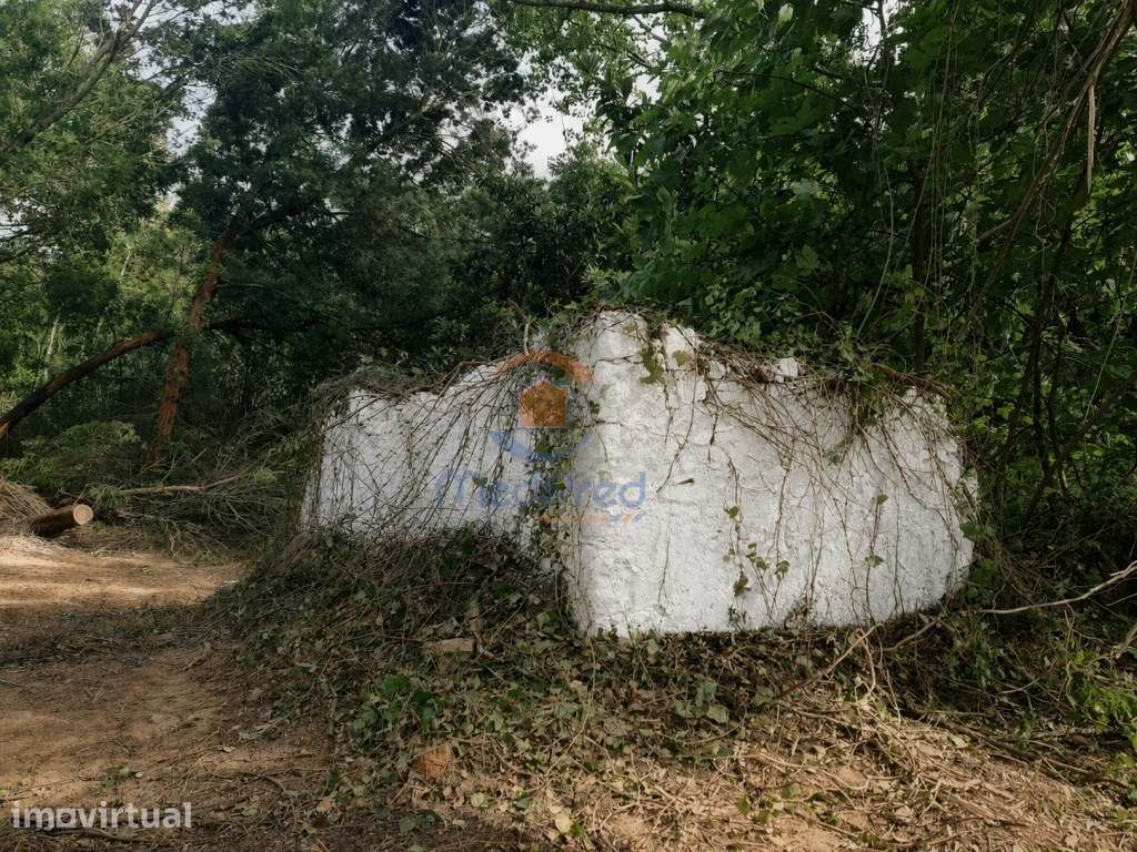 Azenha em Terreno Rústico 4.000m2 | Casais Brancos, Alenquer - Grande imagem: 4/6