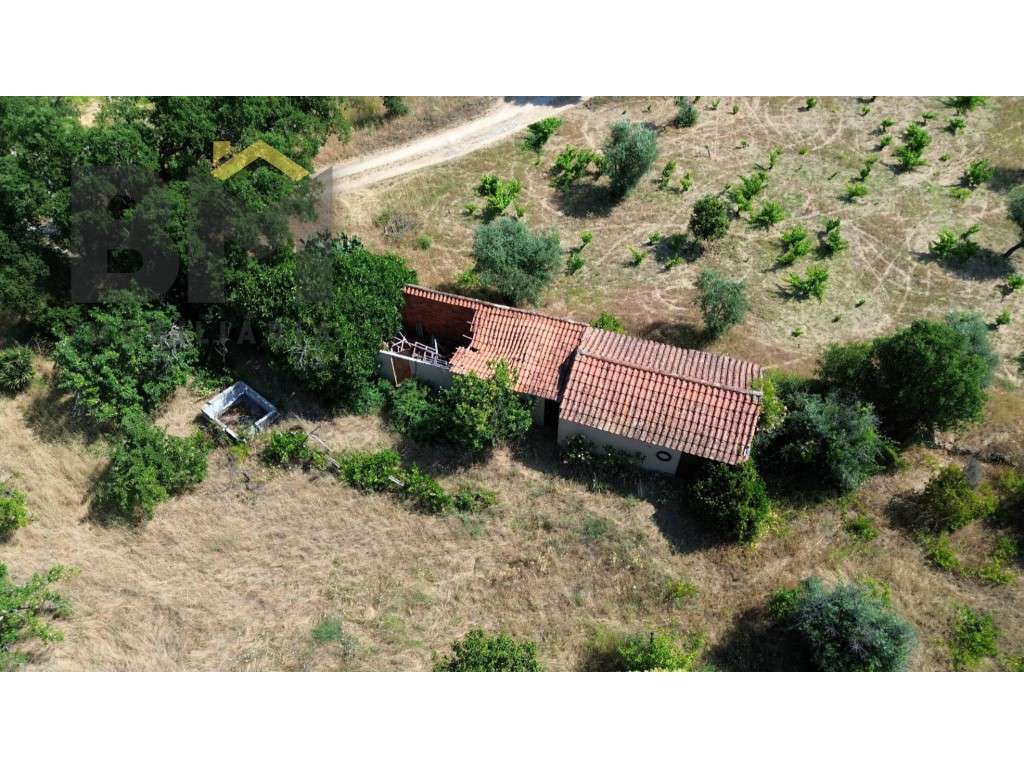 Terreno rústico com 9.840 m² à venda junto ao Freixial do Campo! - Grande imagem: 2/22