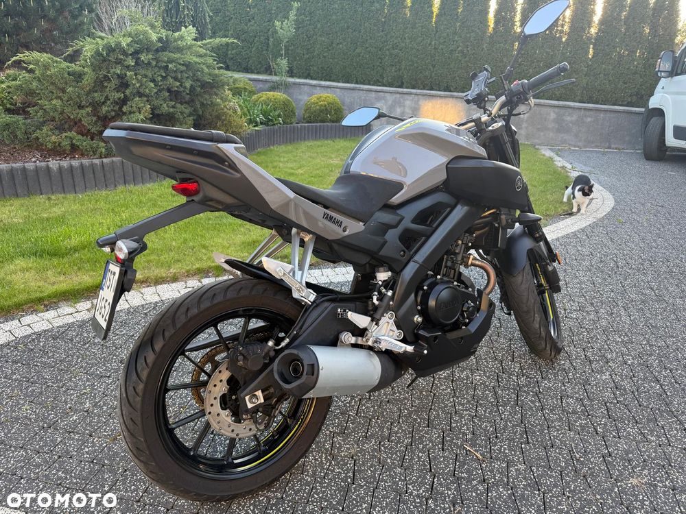 Yamaha MT - 6