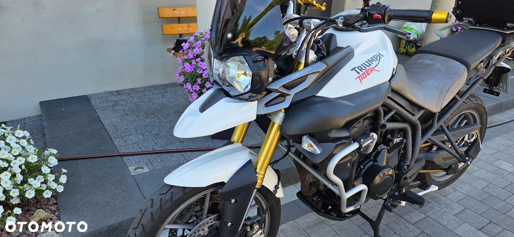 Triumph Tiger - 8