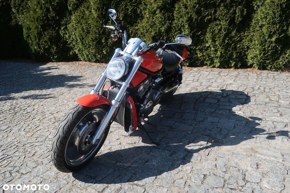 Harley-Davidson V-Rod Night Rod - 8