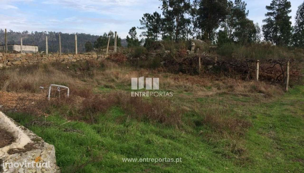Venda Terreno c/ espigueiro em pedra para reconstruir, Abragão, Penaf - Grande imagem: 2/11
