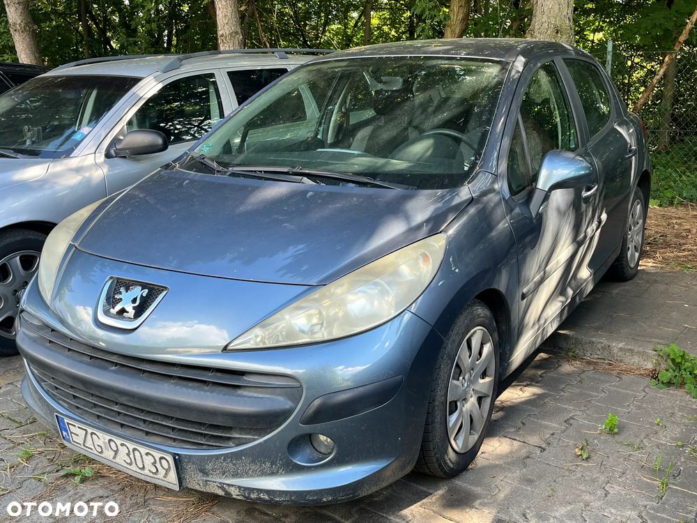 Peugeot 207 - 9