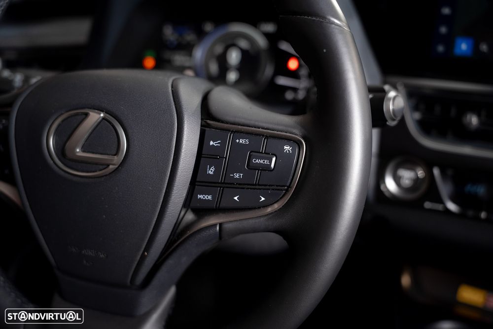 Lexus UX 250h F Sport - 20