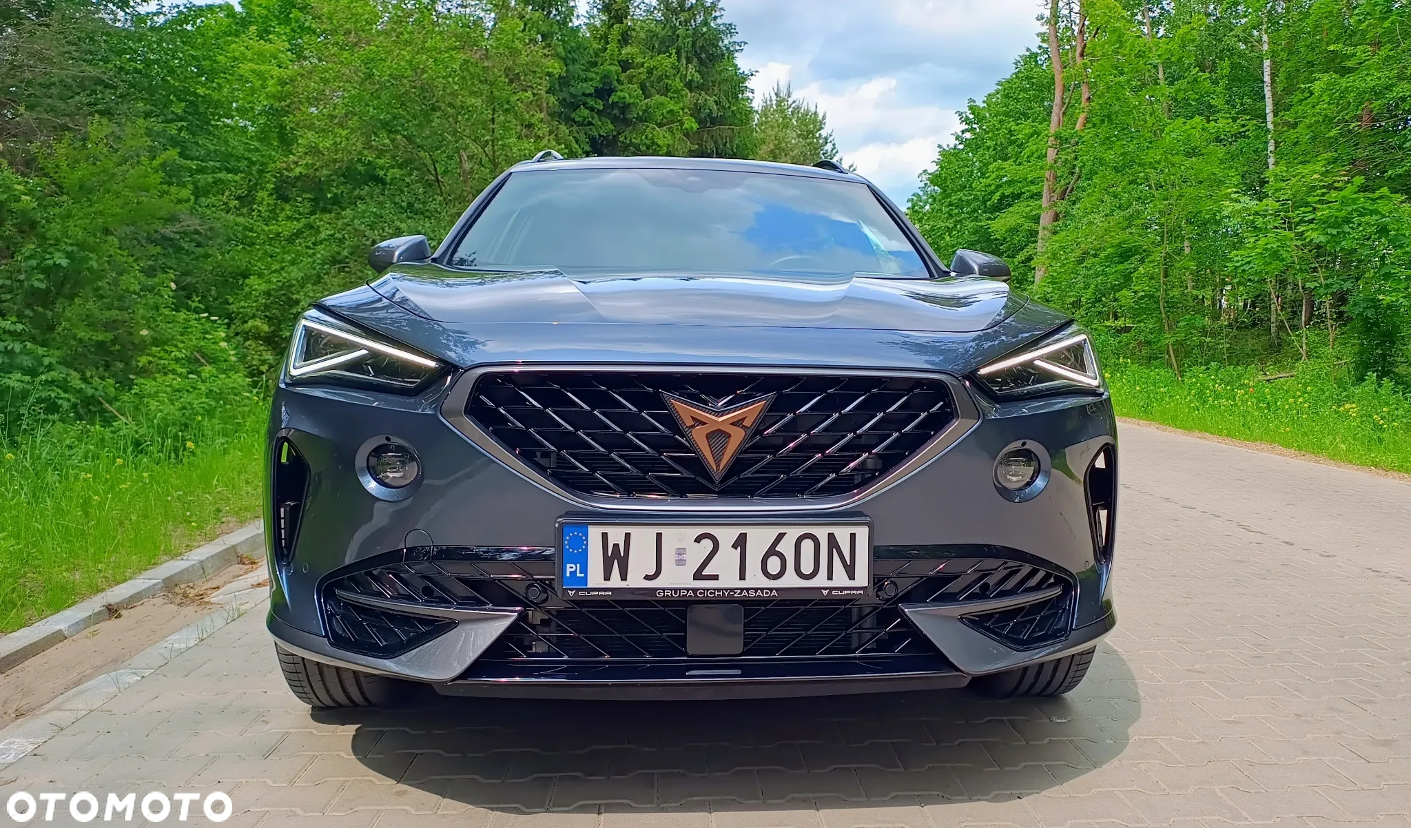 Cupra Formentor 2.0 TDI 4Drive DSG - 5