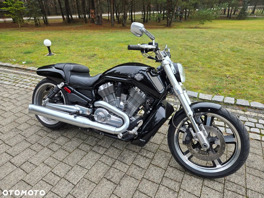 Harley-Davidson V-Rod Muscle - 3