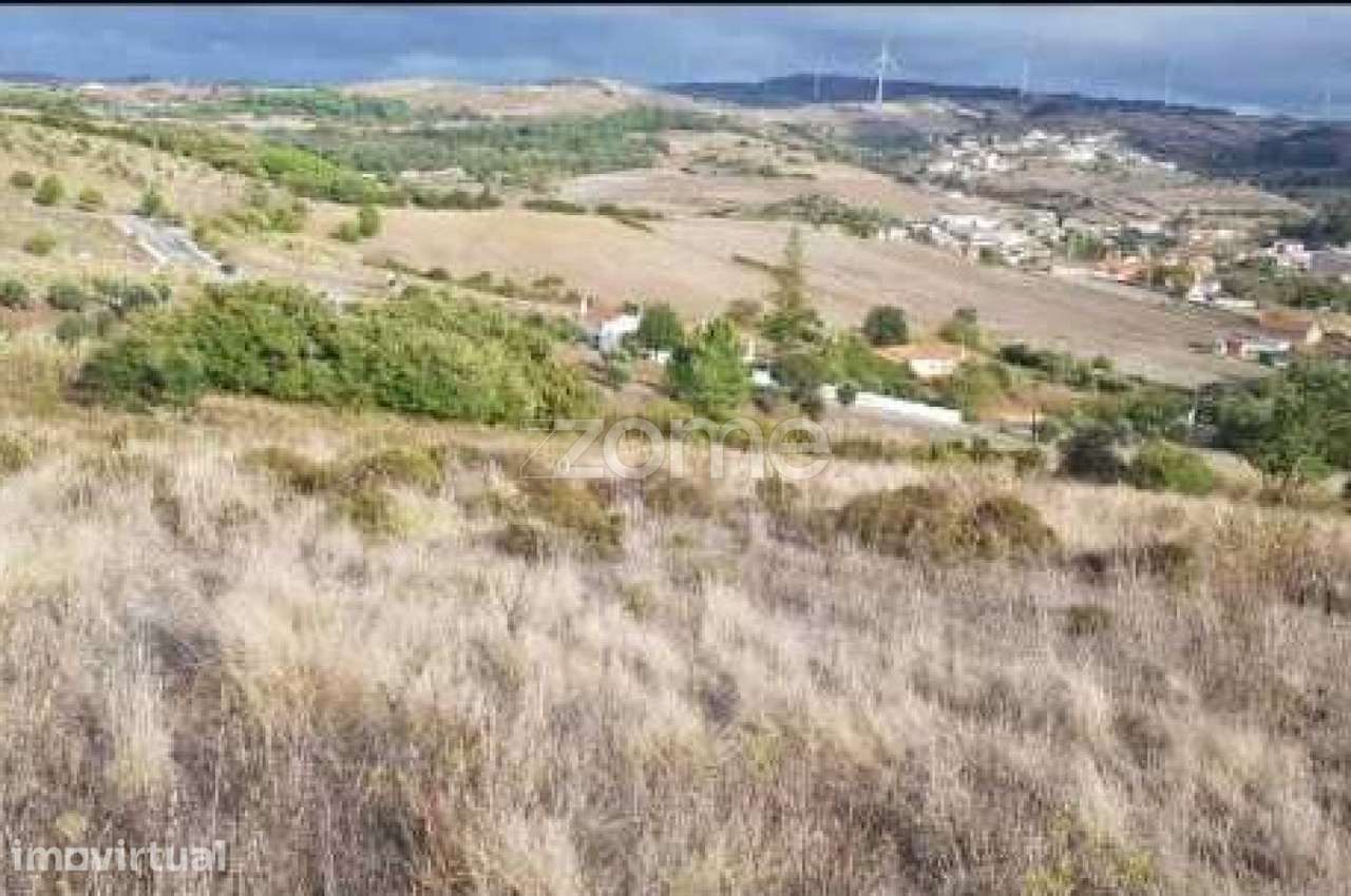 Terreno do Outeiro Grande em Pêro Negro - Grande imagem: 2/15