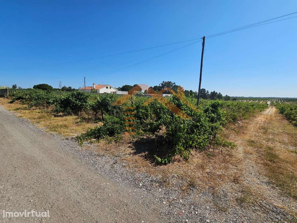 Oportunidade Única no concelho de Palmela, freguesia de Poceirão e ... - Grande imagem: 5/21