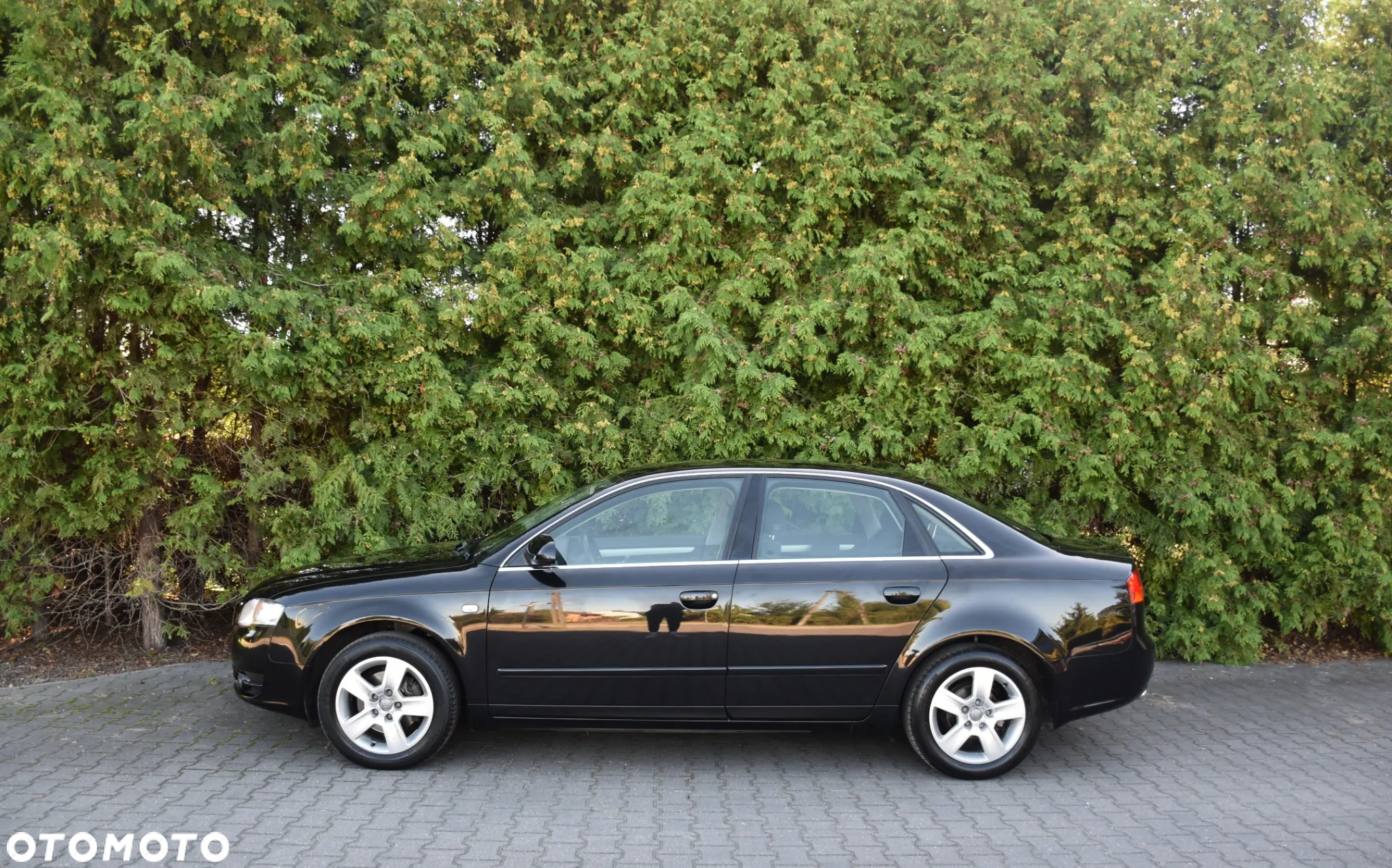 Audi A4 - 5