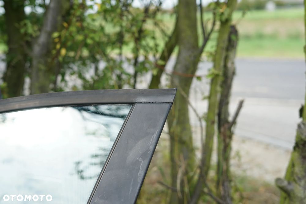 Drzwi przód przedni lewe Renault Scenic III TERNA - 7