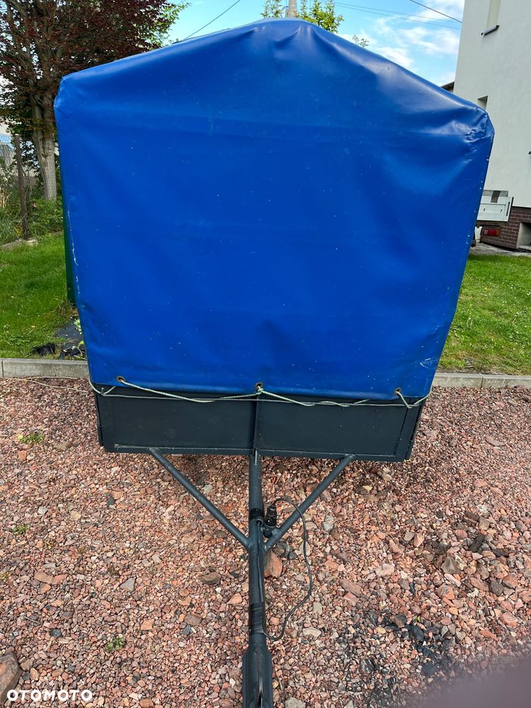 SAM - 3