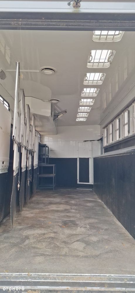 Scania Koniowóz 7-koni + living - 24