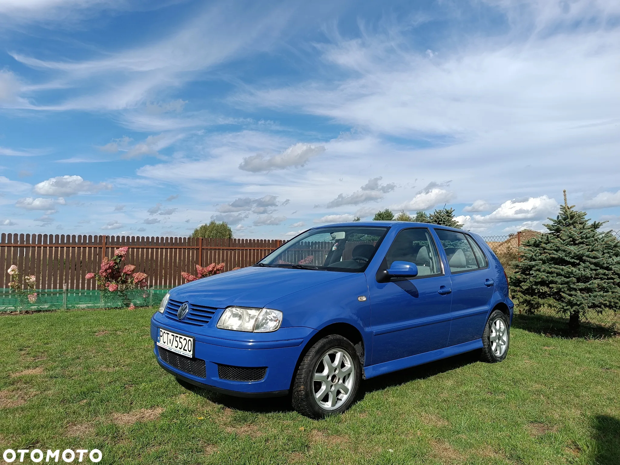 Volkswagen Polo - 2