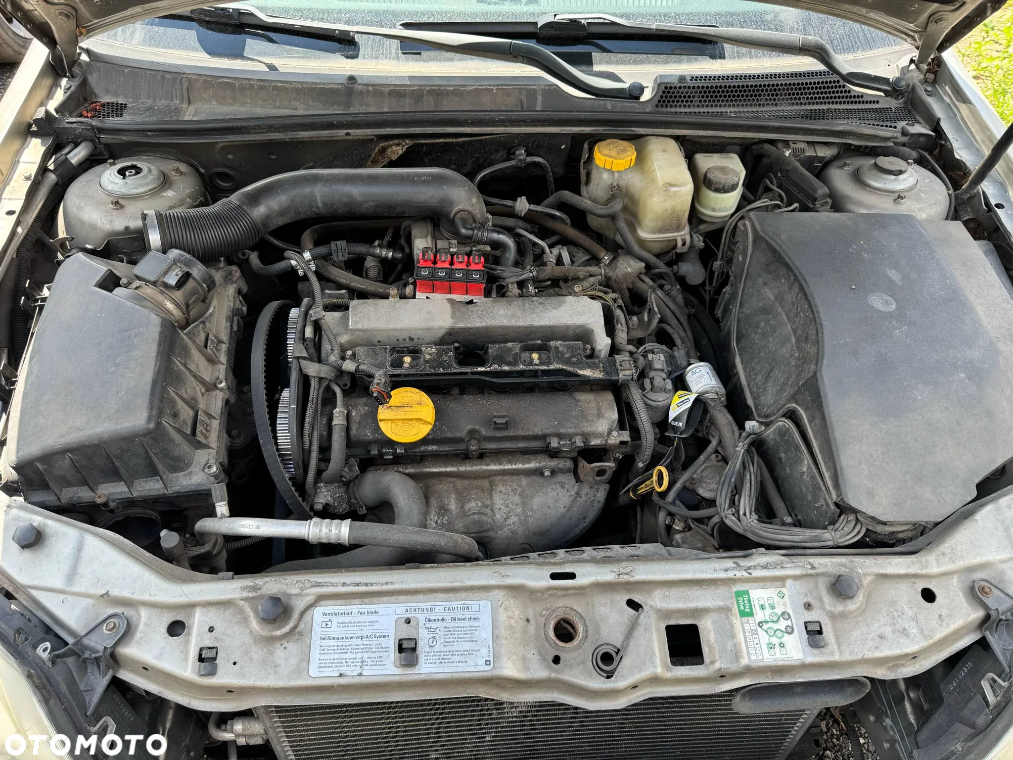 Wszystkie Części do Opel Vectra C (Z02) 1.8 (F69) Z18XEL 110KM 2002-2008 - 5