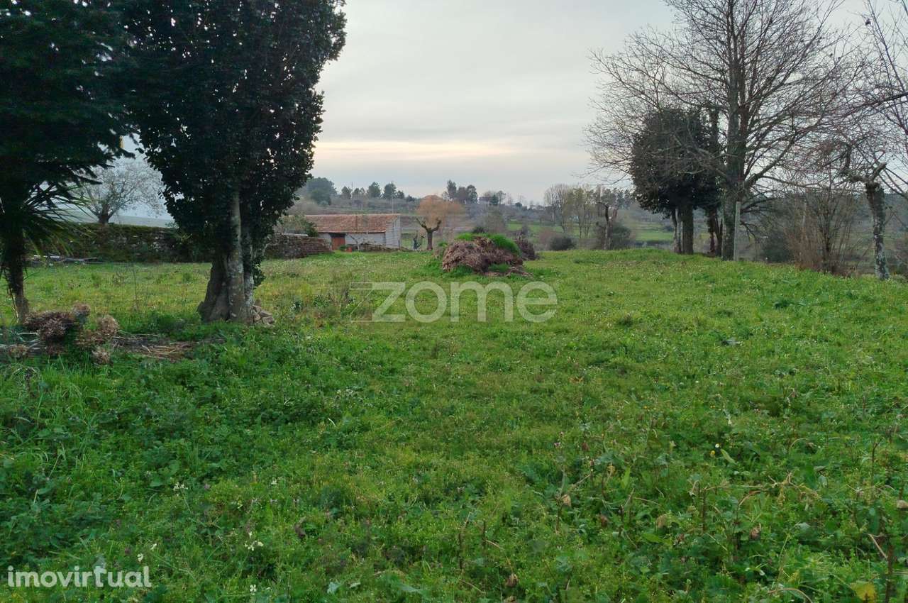 Terreno para Construção – Oportunidade Única, Chãs Tavares - Grande imagem: 4/21