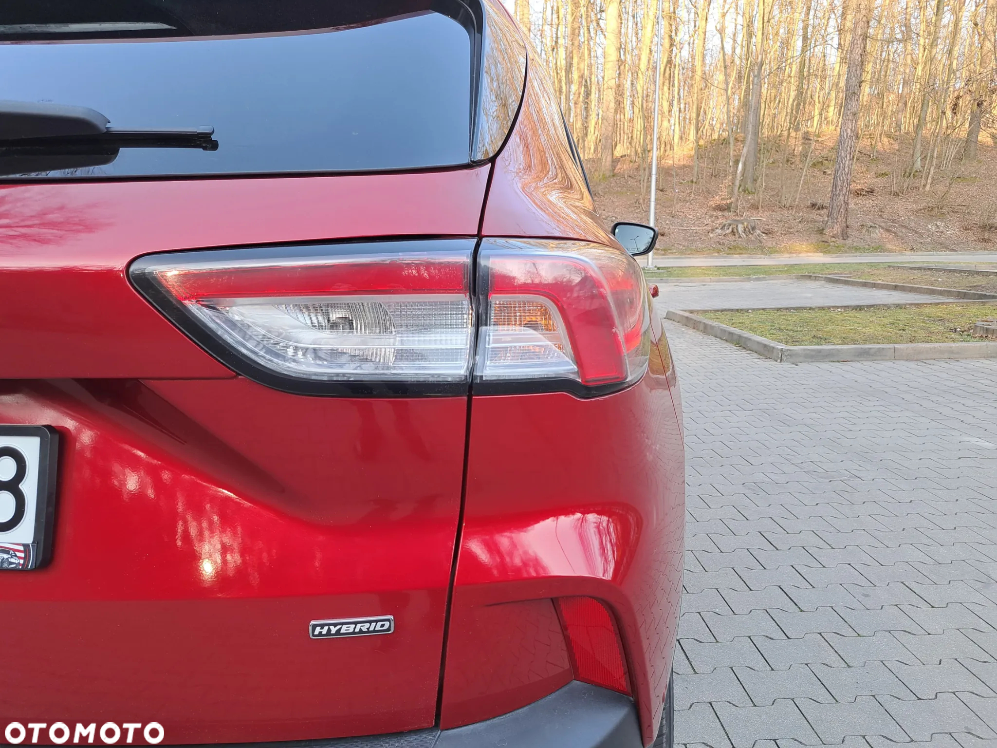 Ford Escape - 12