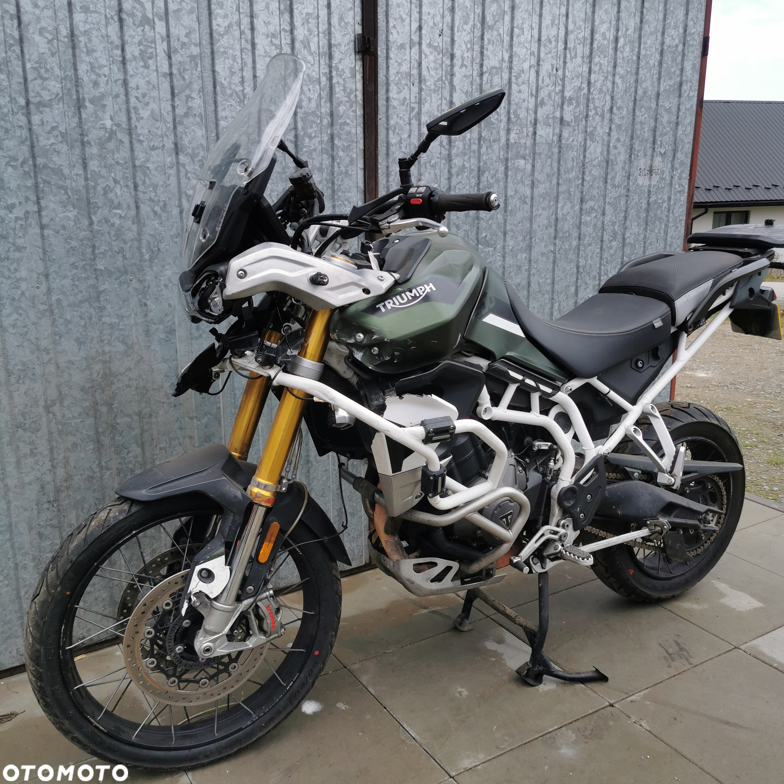Triumph Tiger