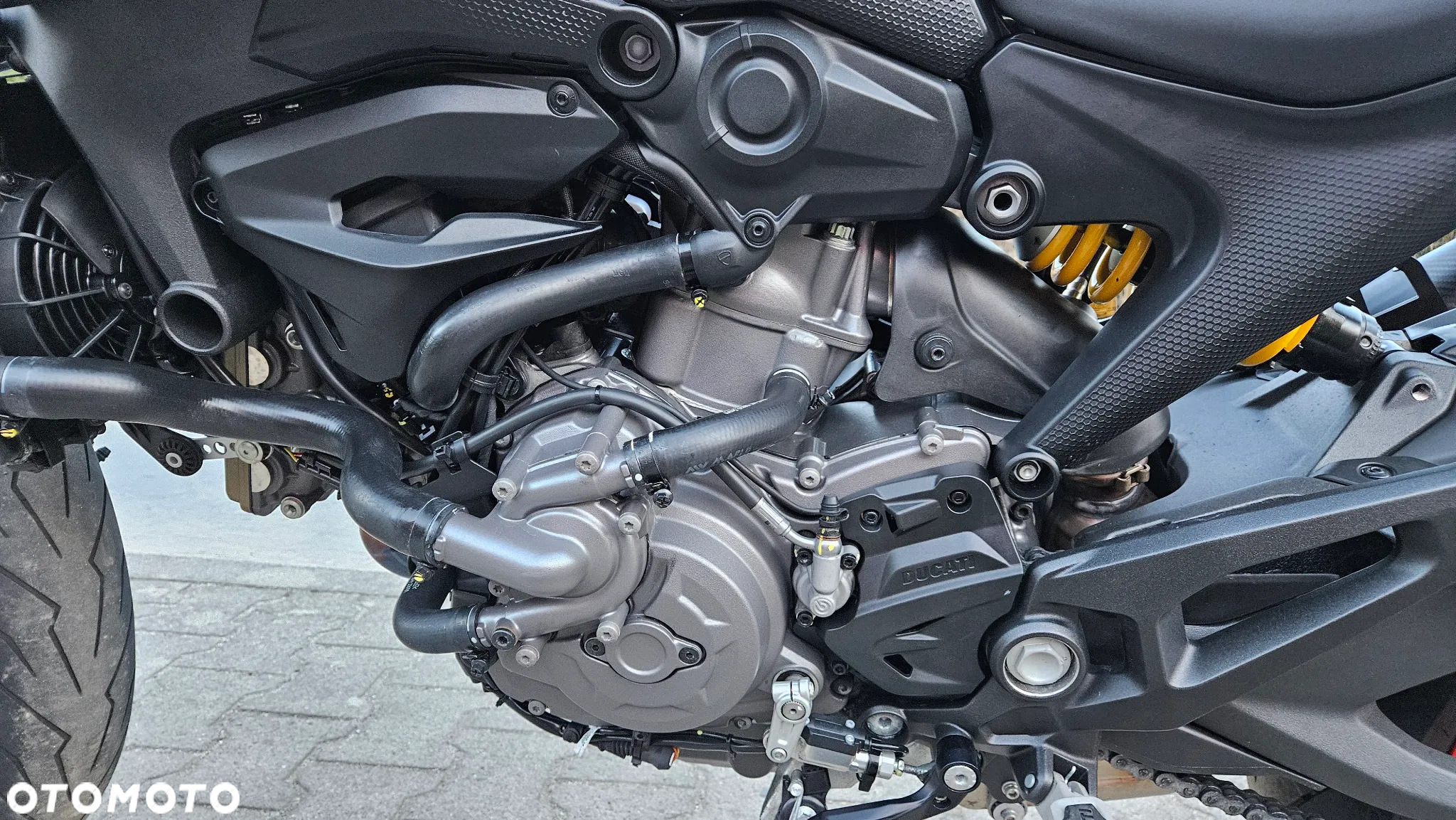 Ducati Monster - 17