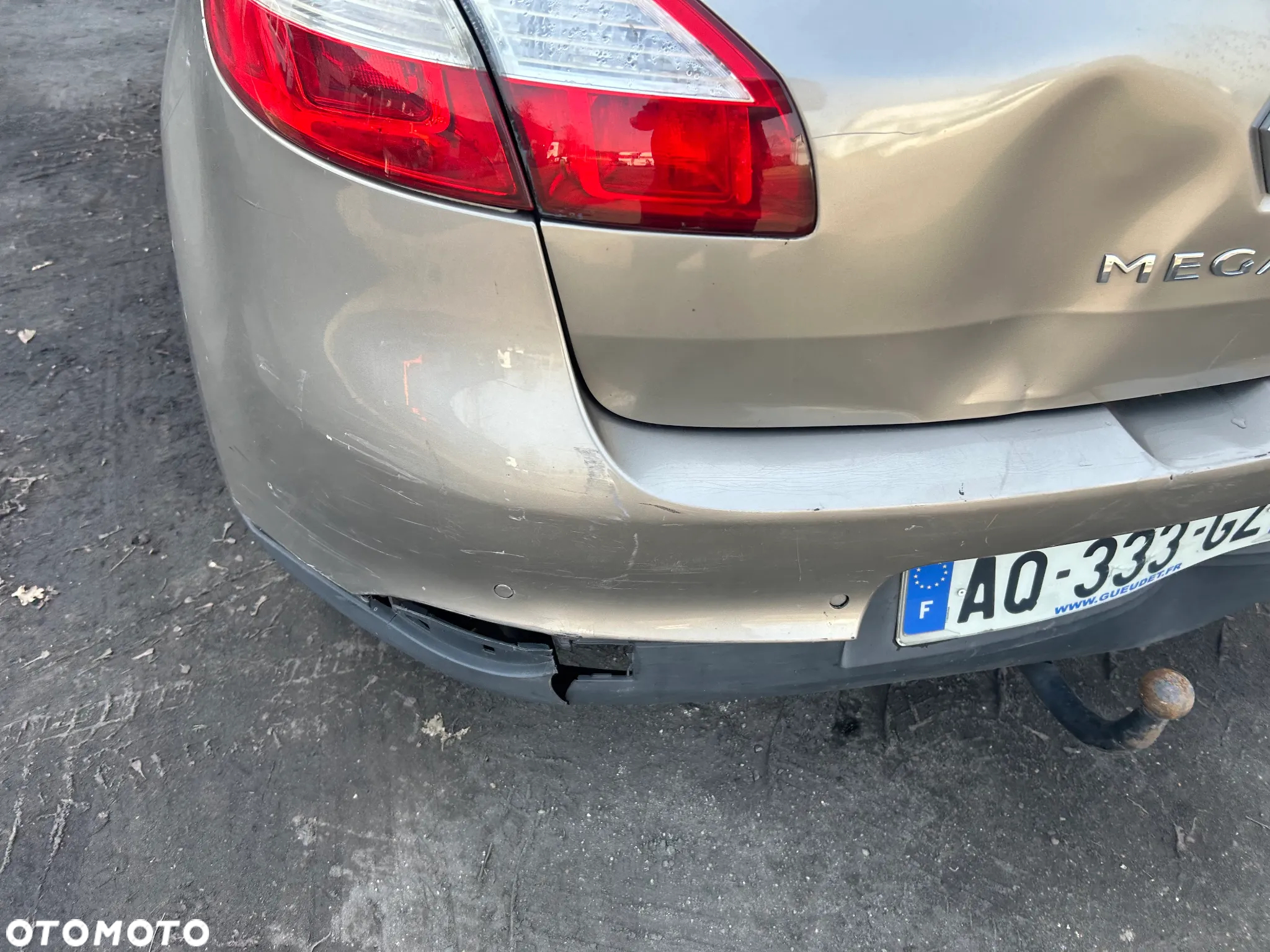 Renault Megane - 29