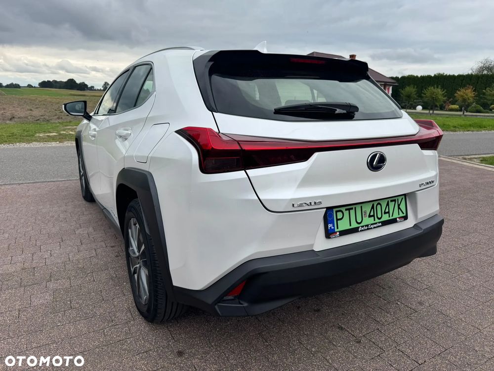 Lexus UX 300e 54.3 kWh Prestige 2WD - 6