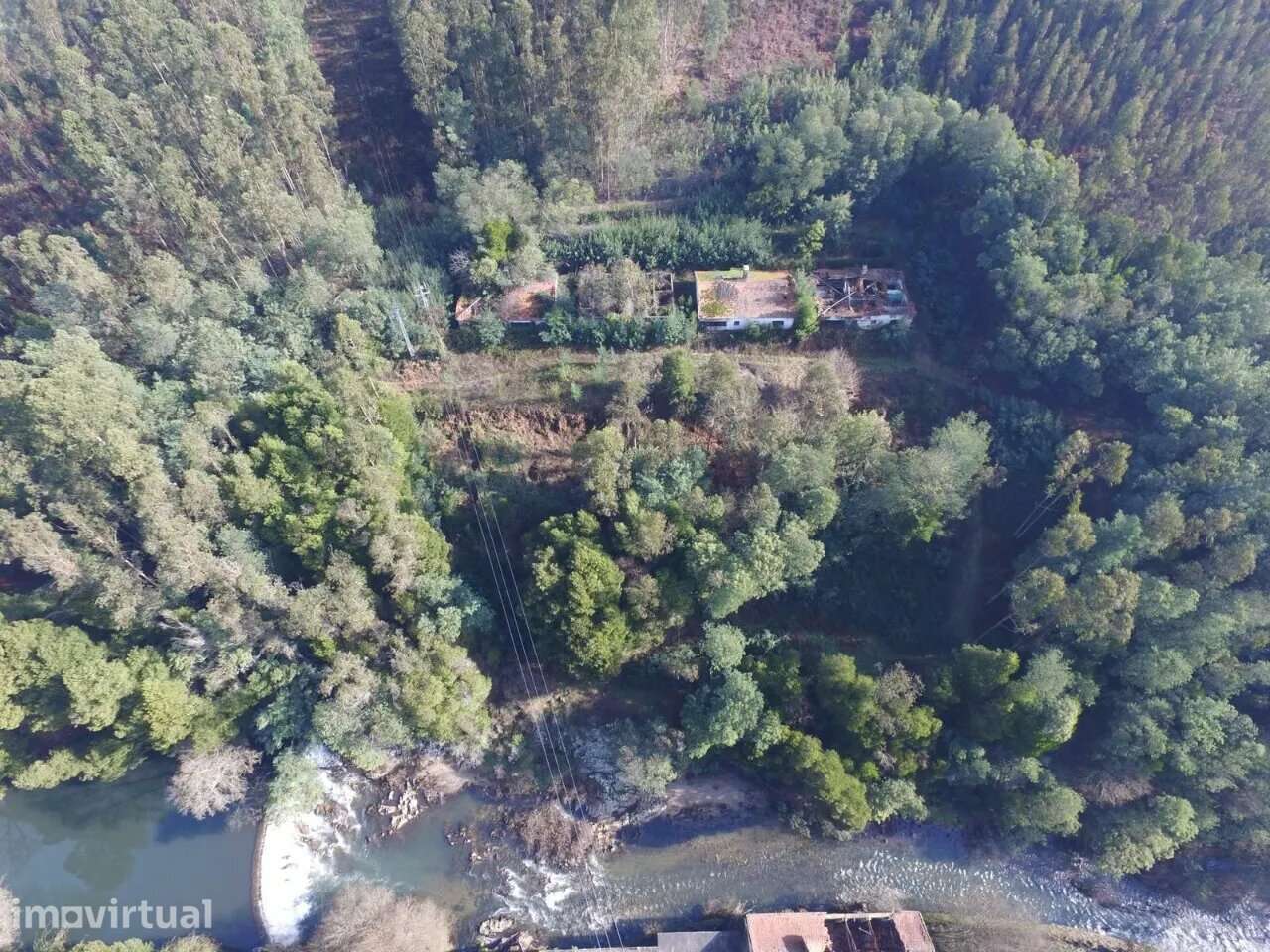 Quinta Palmaz Oliveira de Azeméis - Grande imagem: 4/24
