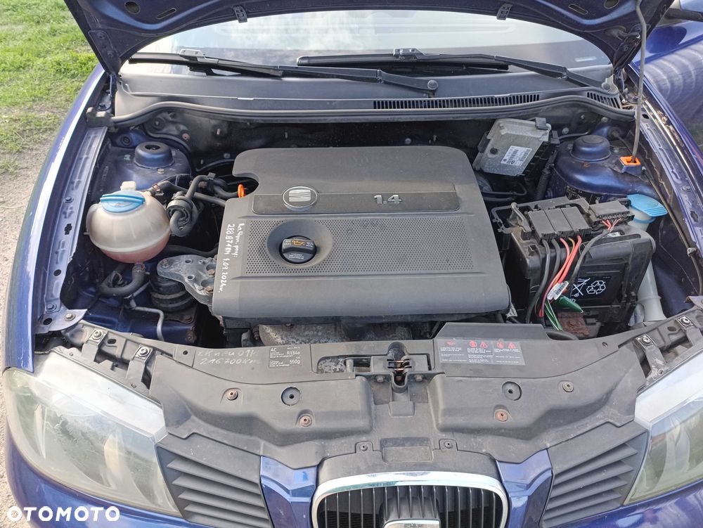Seat Ibiza - 7