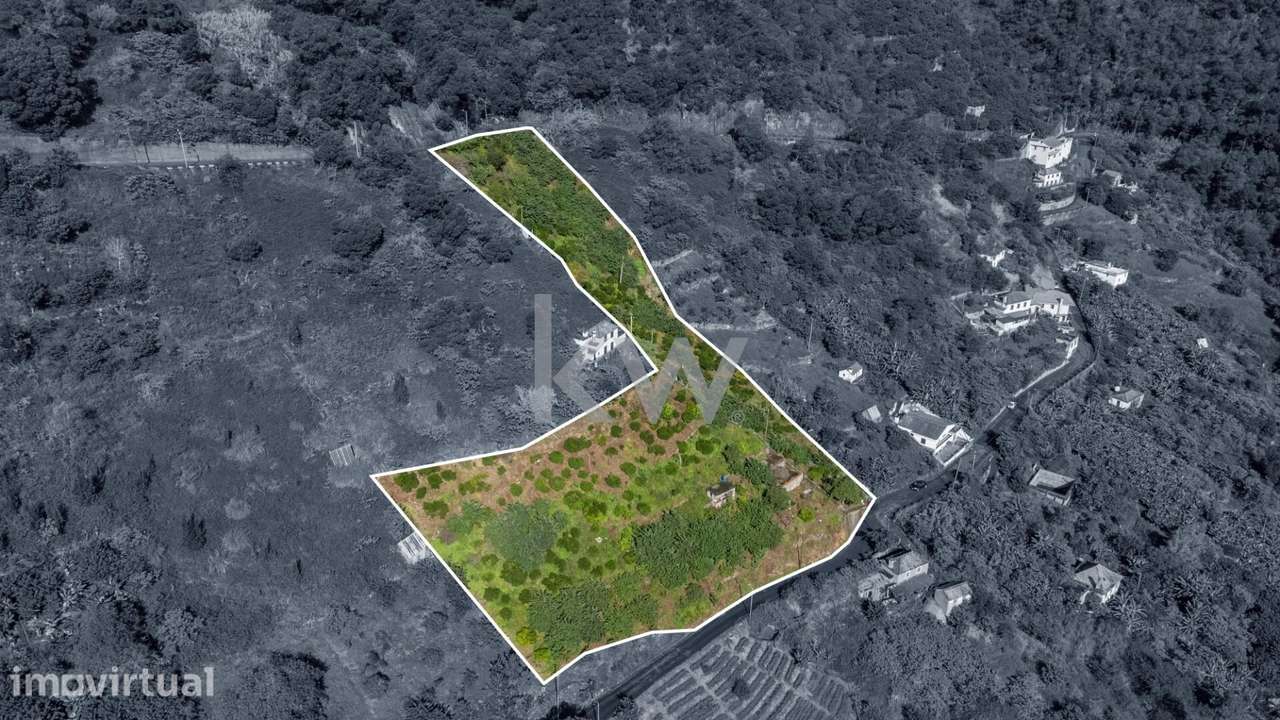 Terreno com 7040 m2, Localizado no Concelho de Santana, Freguesia do F - Grande imagem: 4/24