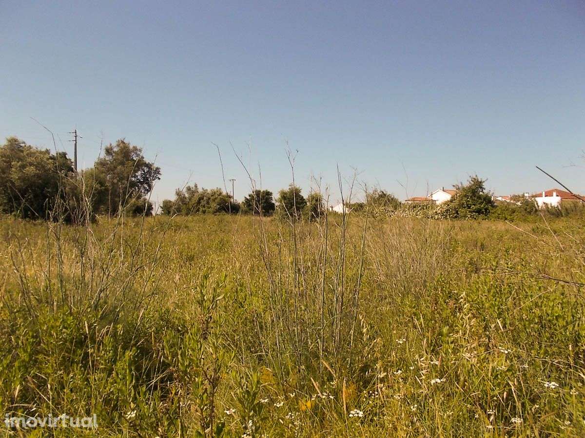 Terreno Rústico Fértil com 5760 m2 - Grande imagem: 4/4