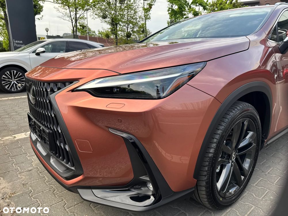 Lexus NX - 27