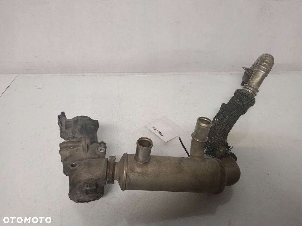 chłodniczka egr ford focus ii - 7