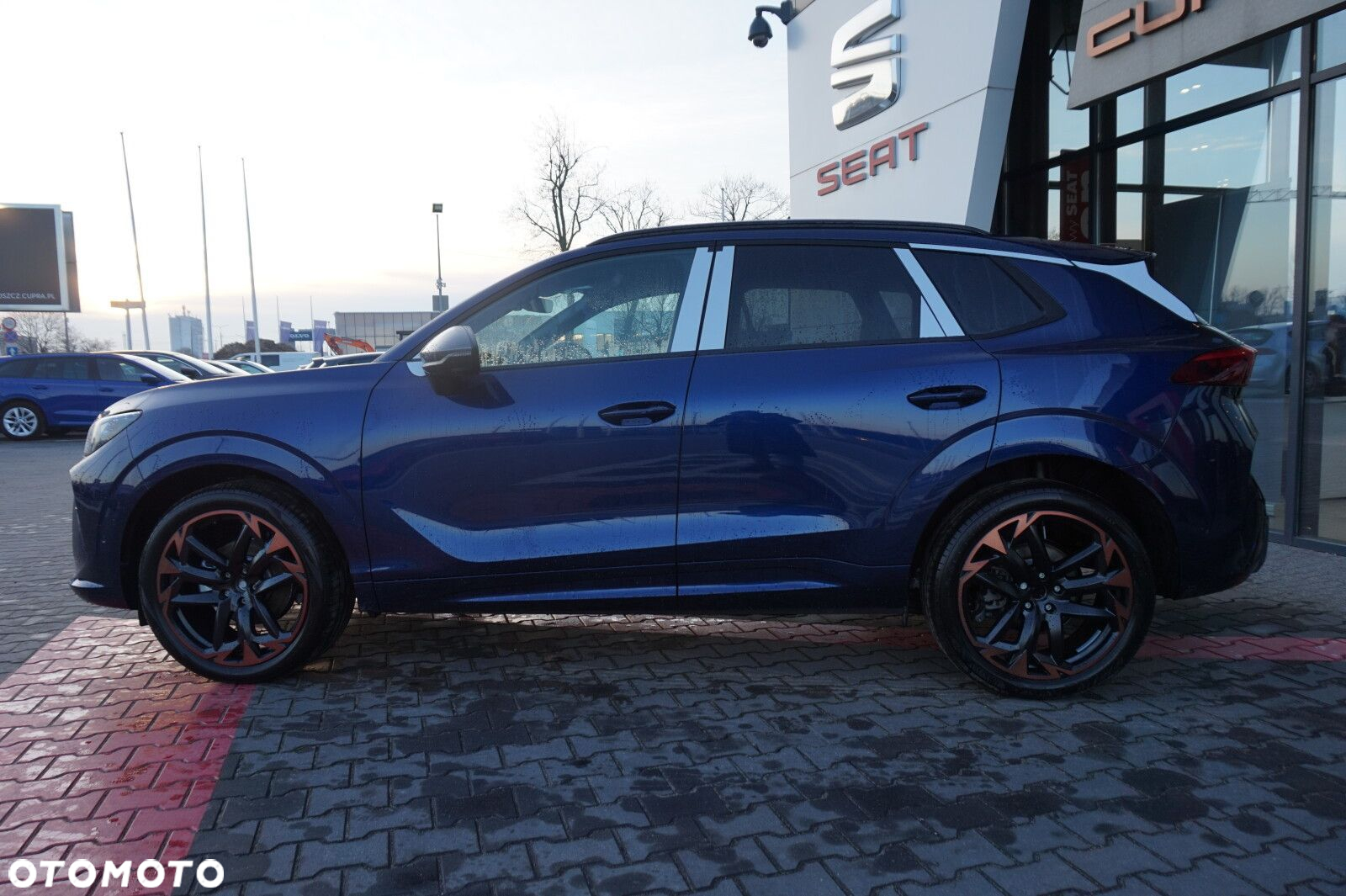 Cupra Terramar - 8