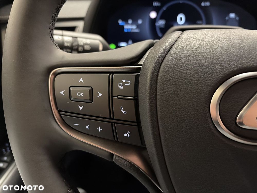 Lexus UX 300h F Sport Design - 13