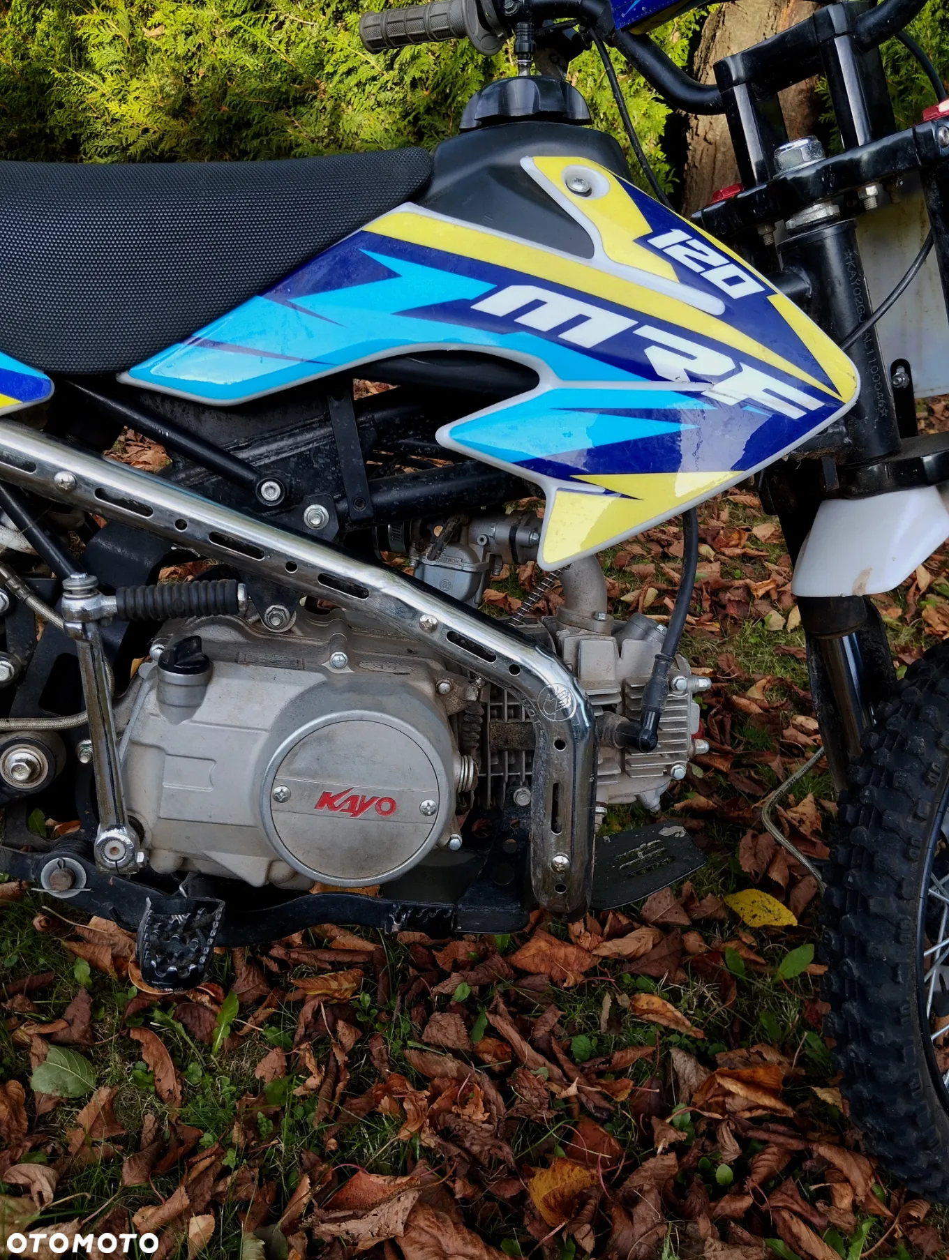 MRF Inny - 8