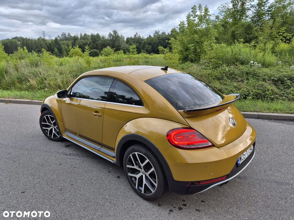 Volkswagen Beetle - 7