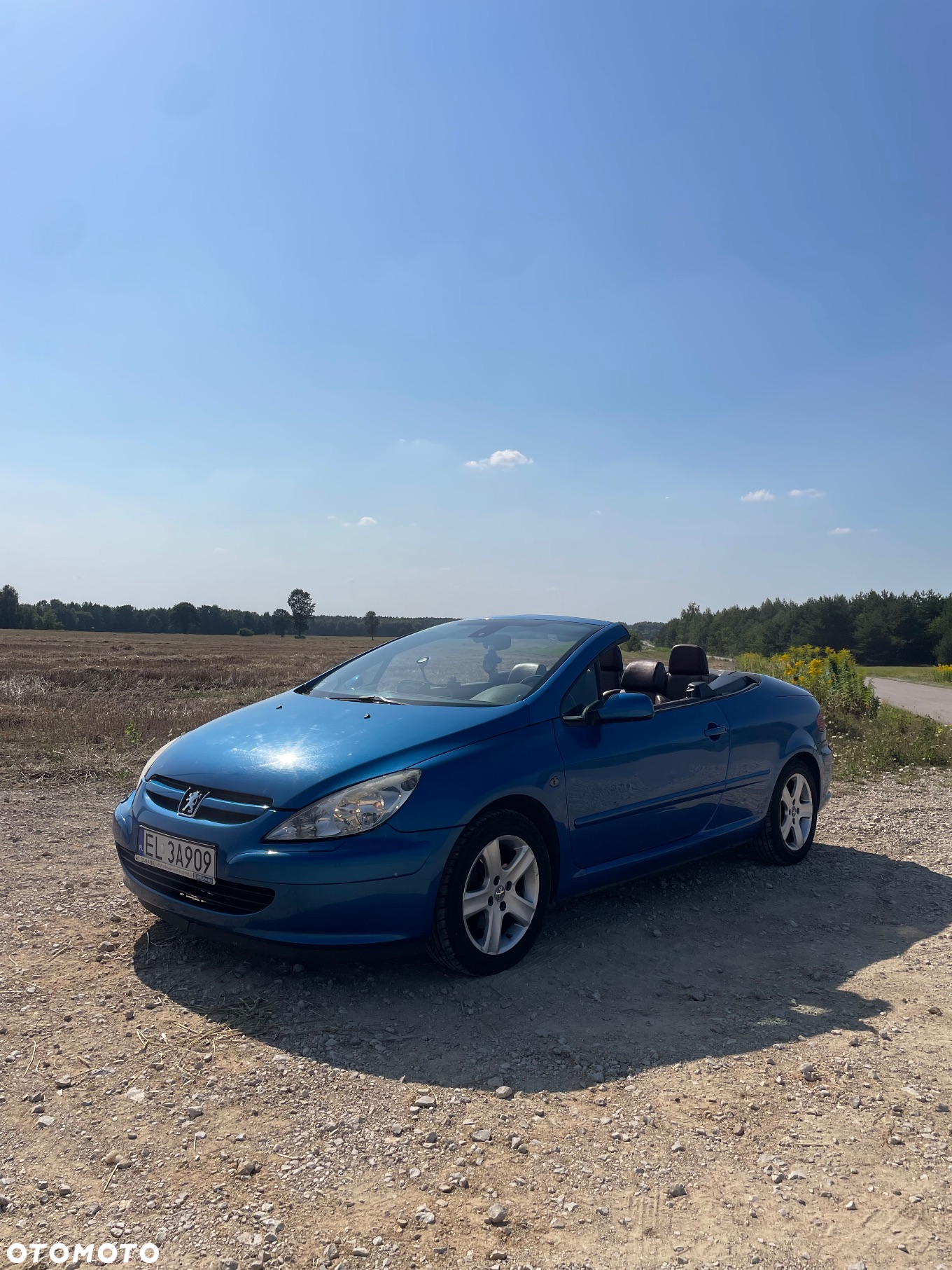 Peugeot 307 - 3