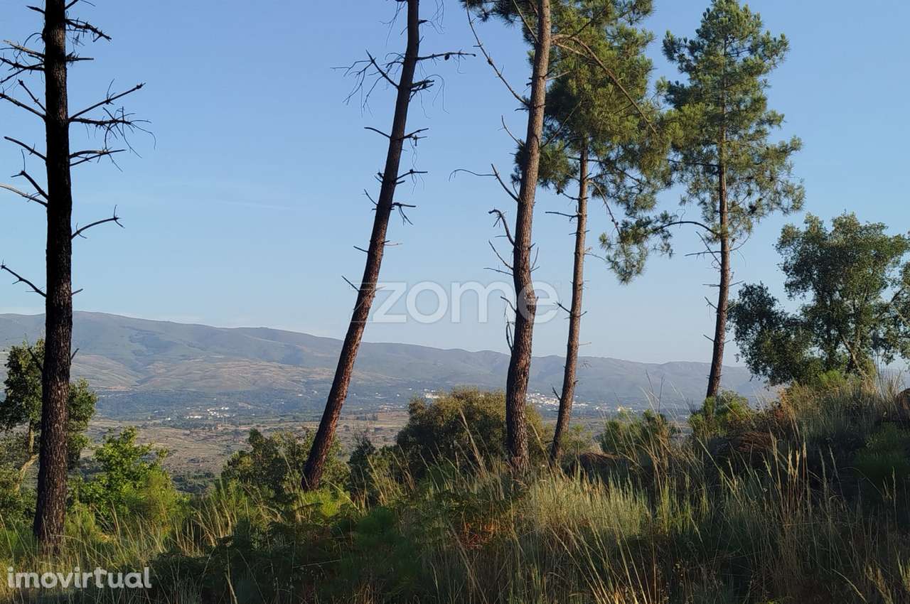 Terreno urbanizável, confinante c/ 2 arruamentos públicos pavimentos - Grande imagem: 5/25