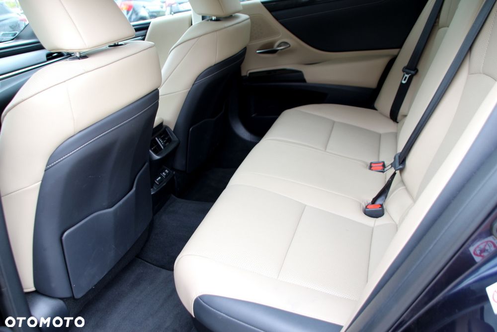 Lexus ES 300h Elegance - 20