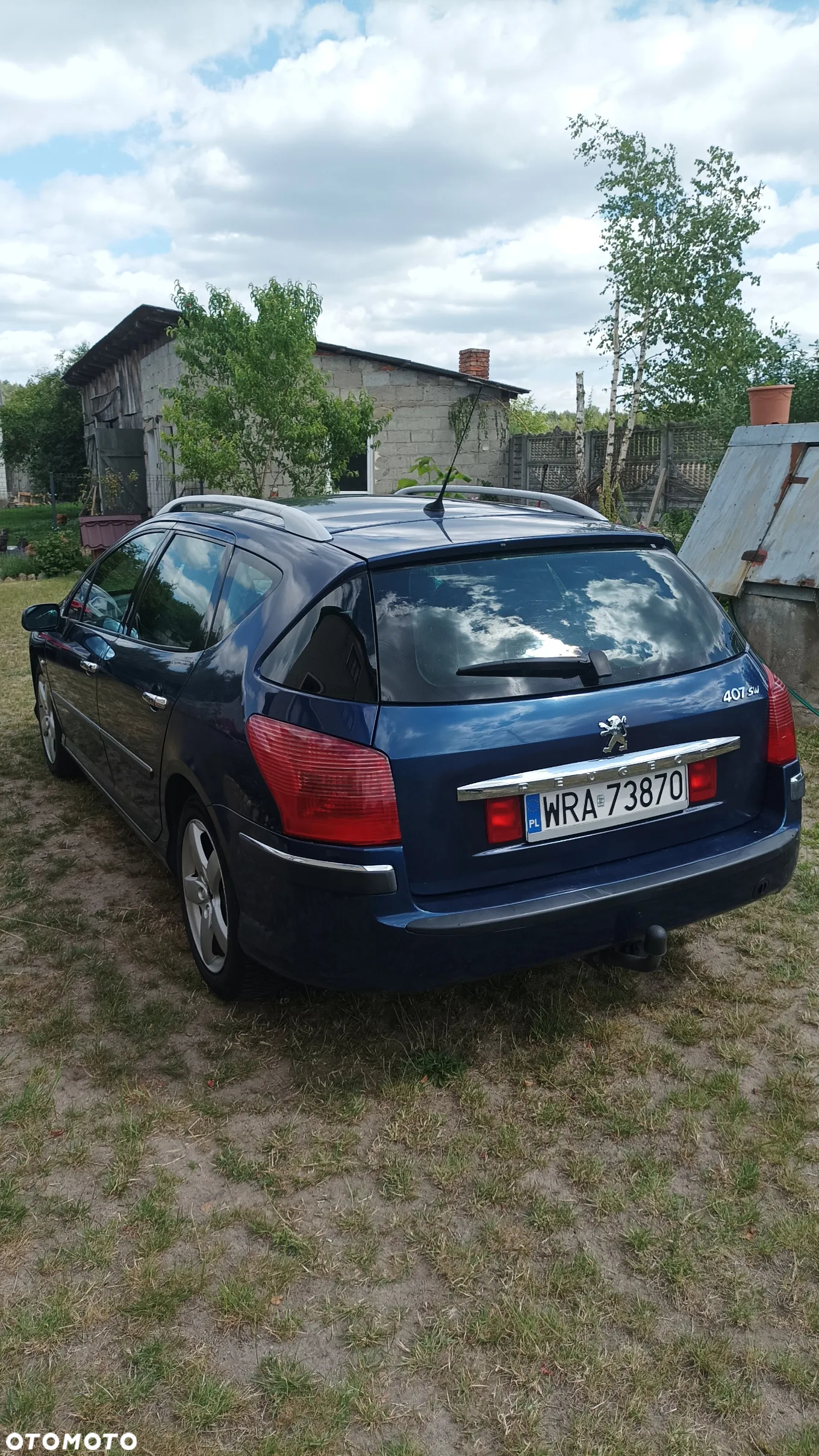 Peugeot 407 SW 115 - 10